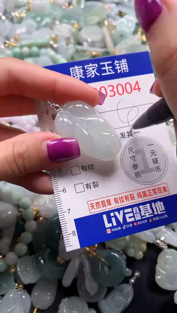 颈饰未镶嵌翡翠3004