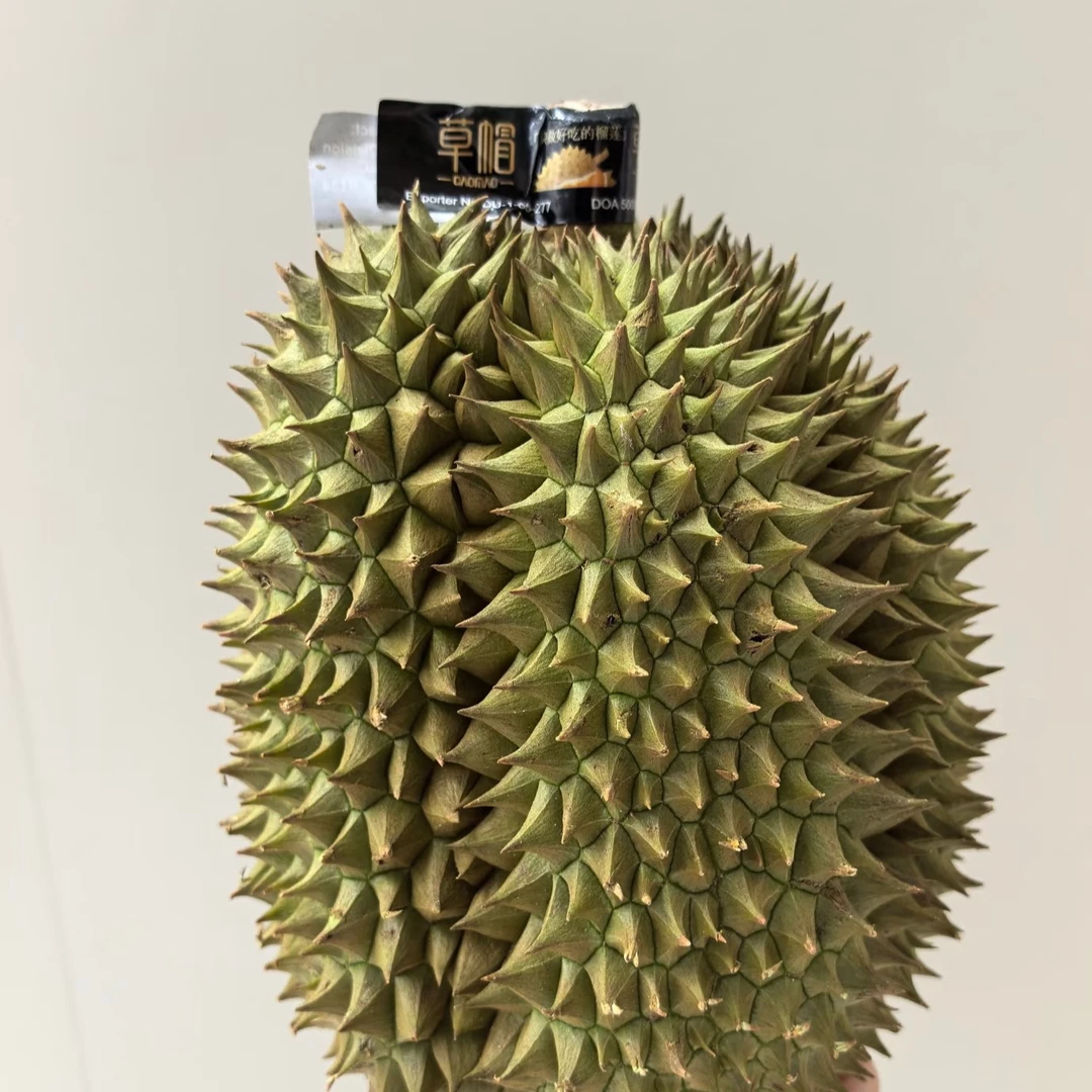泰国草帽金枕顺丰包邮