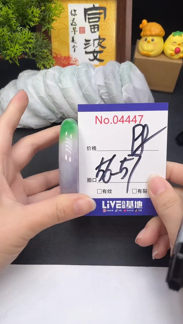 未镶嵌手镯翡翠4447