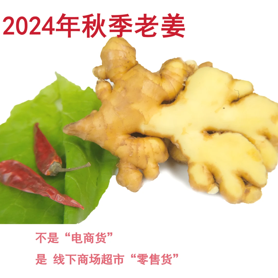 云南老姜 黄姜新鲜老姜 农家自种 食用调料姜香味浓辣度高