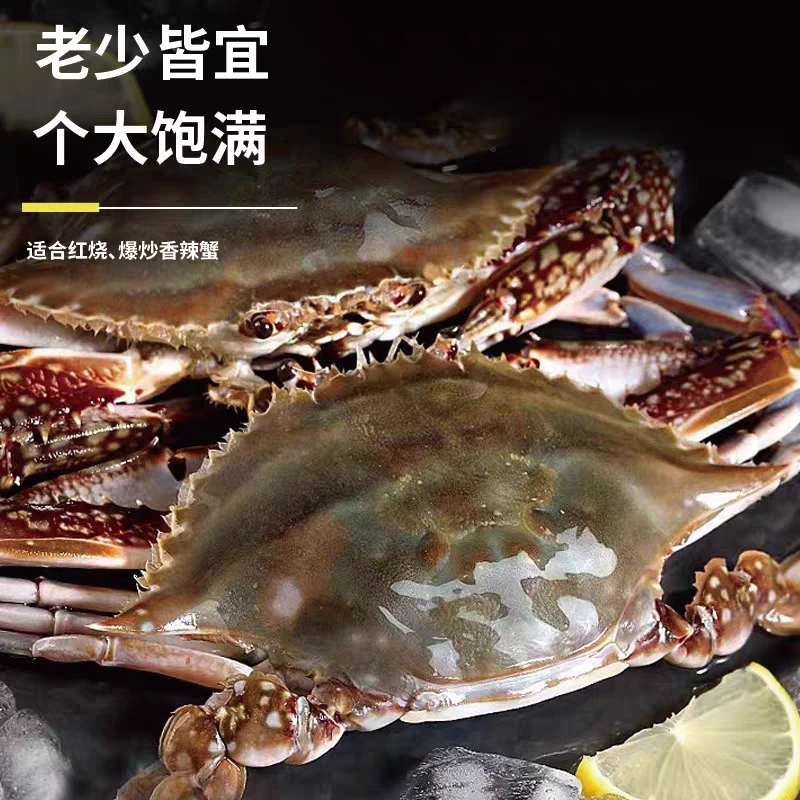 【活蟹直发】舟山野生梭子蟹3斤 到手7-10只母蟹4两左右海捕 【保鲜不保活】