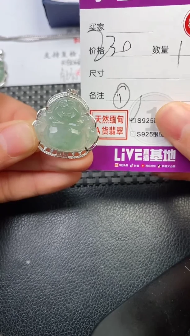 颈饰银S925镶嵌翡翠来**长挂件