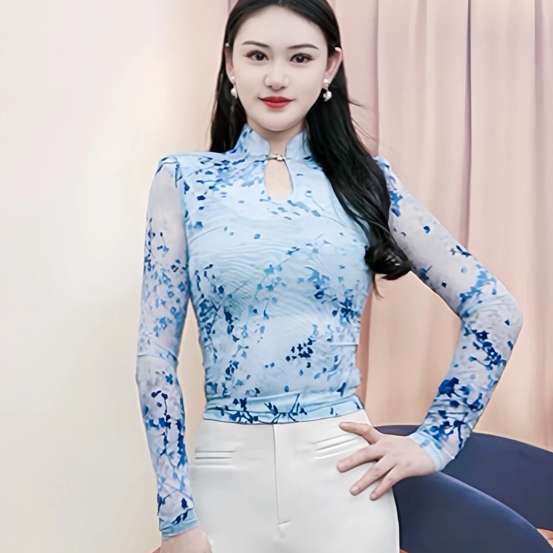 [兰亭序曲2.0版本]春季新款镂空性感网纱高领小衫复古显瘦t恤衫