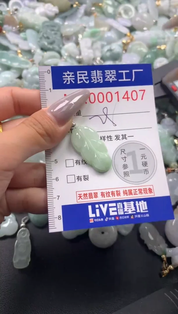 颈饰未镶嵌翡翠1407