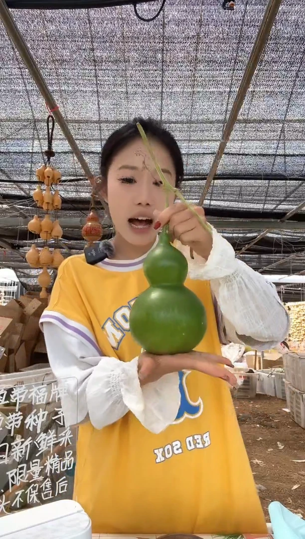 840天然葫芦摆件 一物一拍龙头不保售后