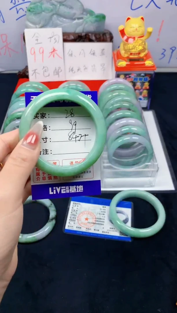 未镶嵌手镯翡翠28