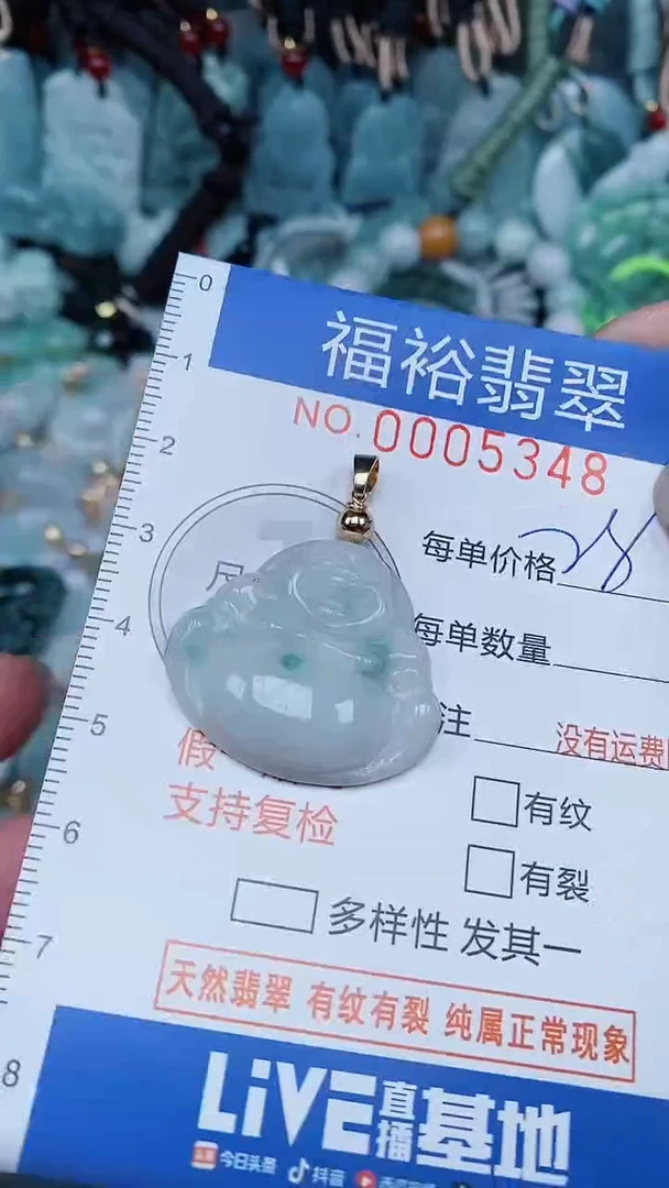 【闪购商品】翡翠颈饰未镶嵌...0005348