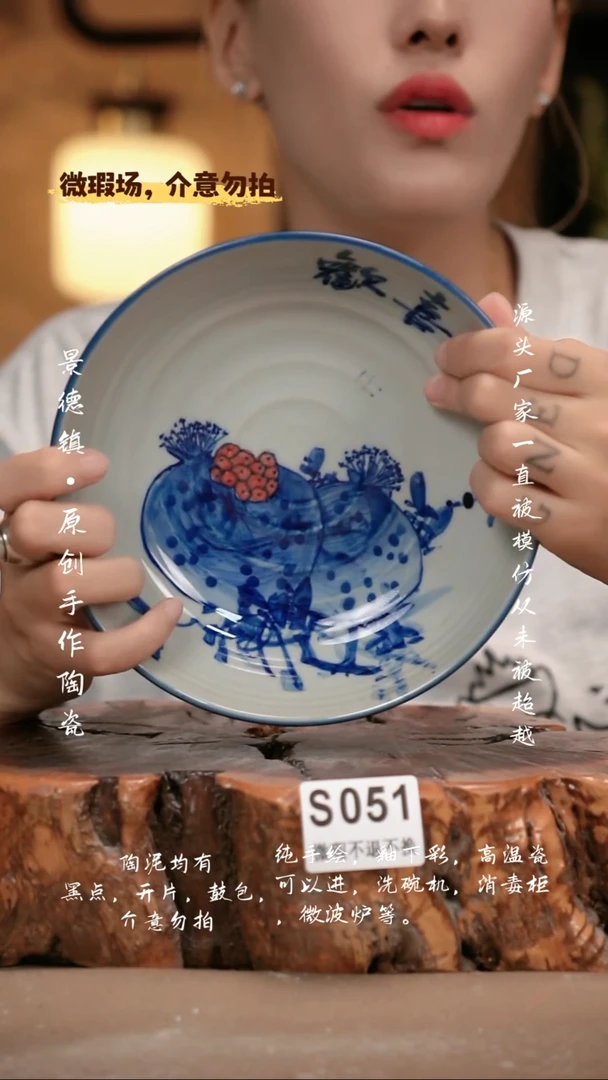 其他WS051新十二器