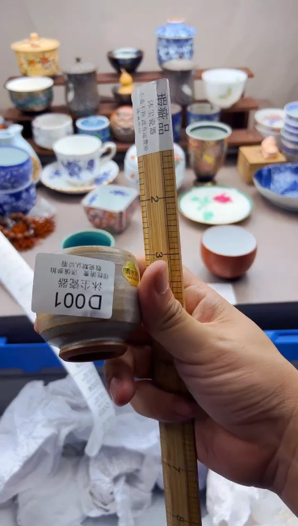 瓷片5****1        D001