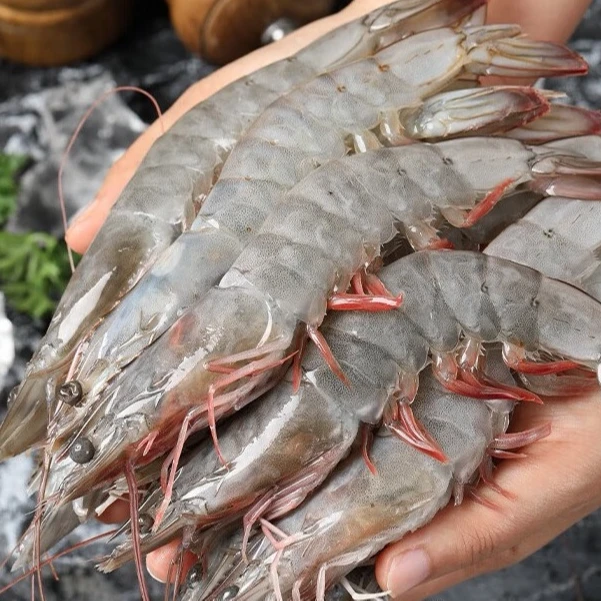 【青岛大虾4斤】海水大虾 肉质鲜嫩大个头海水大虾单只15~18cm4斤共50~60只海虾
