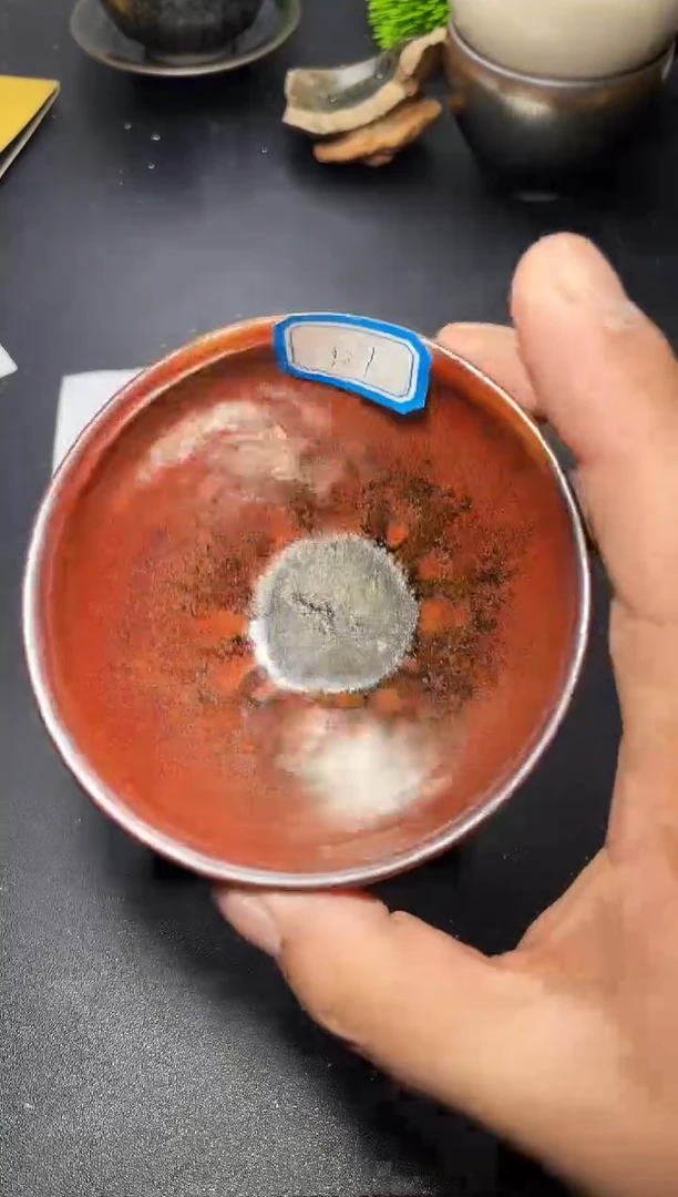 茶盏127叶紫建盏