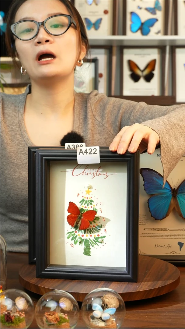 血漪蛱蝶-圣诞款（8寸方黑色欧式框）A422