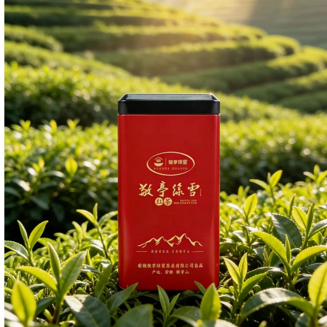 敬亭绿雪红茶2025年新茶安徽宣城敬亭山明前头采红茶50g听装