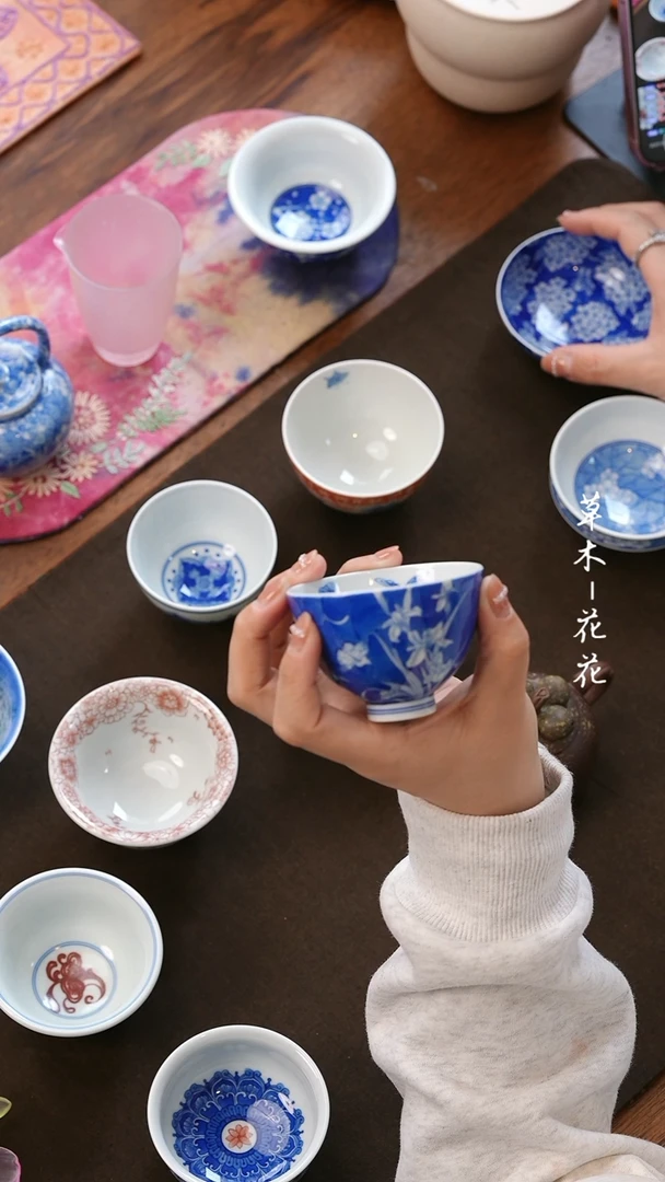 【闪购商品】鸢尾花