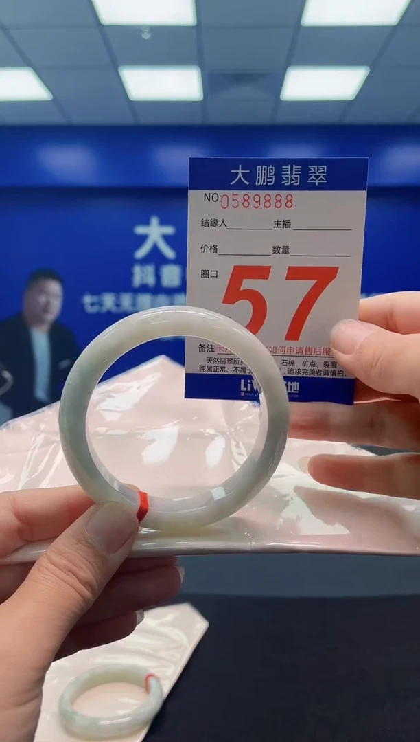 未镶嵌手镯翡翠AAAAAAAAA
