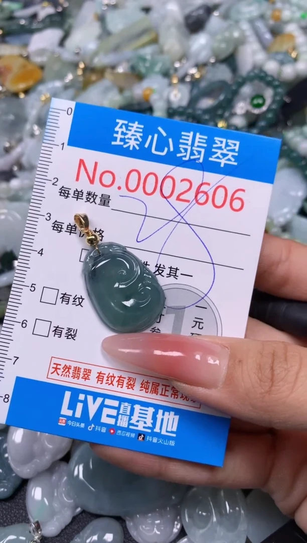 【闪购商品】翡翠颈饰未镶嵌含绳0002606