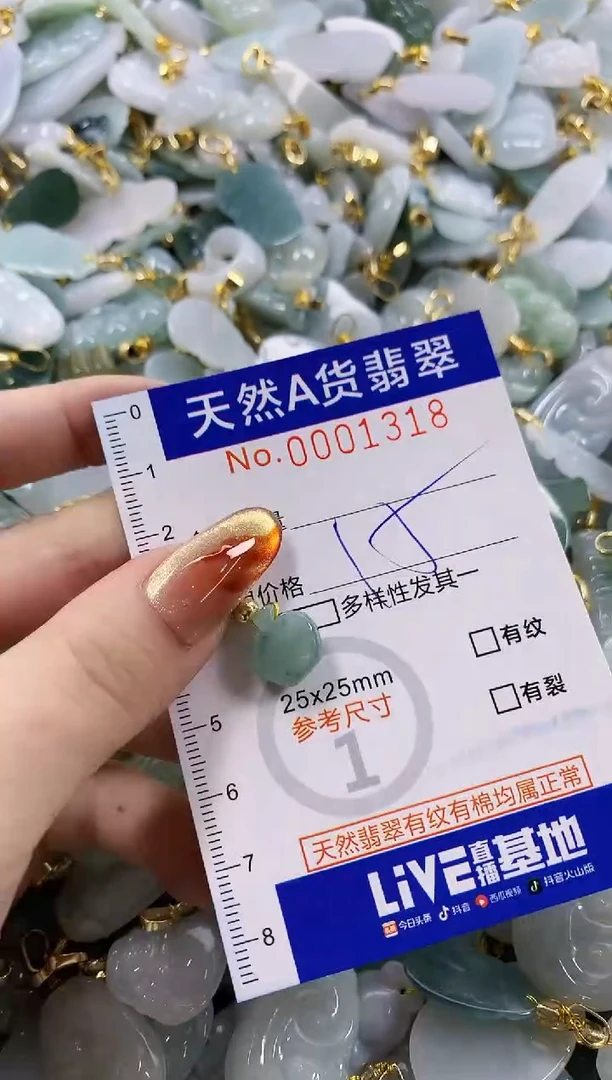 颈饰未镶嵌翡翠天然A货翡翠