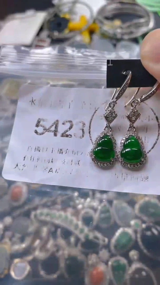 翡翠未镶嵌吊坠(不含链)5423