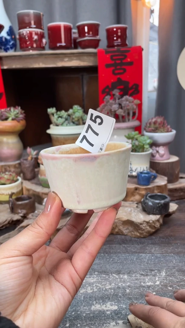 【闪购商品】摆件775知木小芳花盆