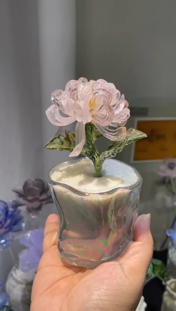 琉璃47菊花