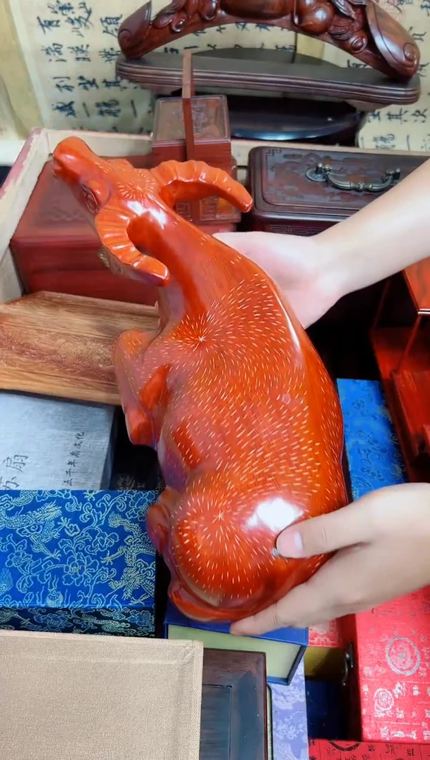 木大毛牛直播推荐直播推荐