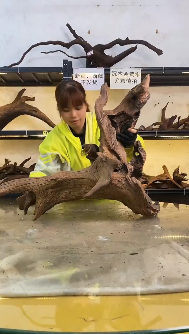 【闪购商品】柚木木艺鱼缸造景沉木052