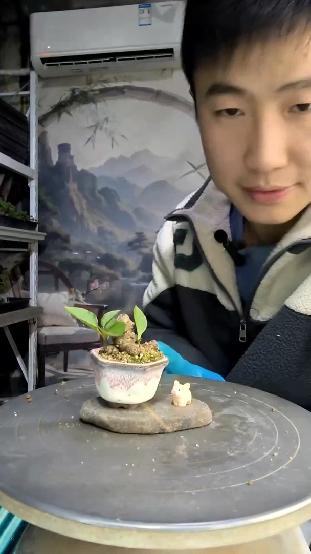 ๑****๑中青园艺一物一拍36