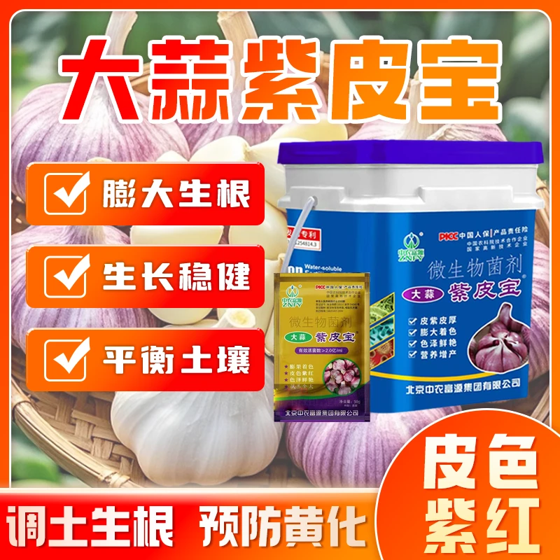 大蒜专用肥紫皮宝蒜种菌剂生根膨大壮苗粗大增产大蒜上色蒜皮紫