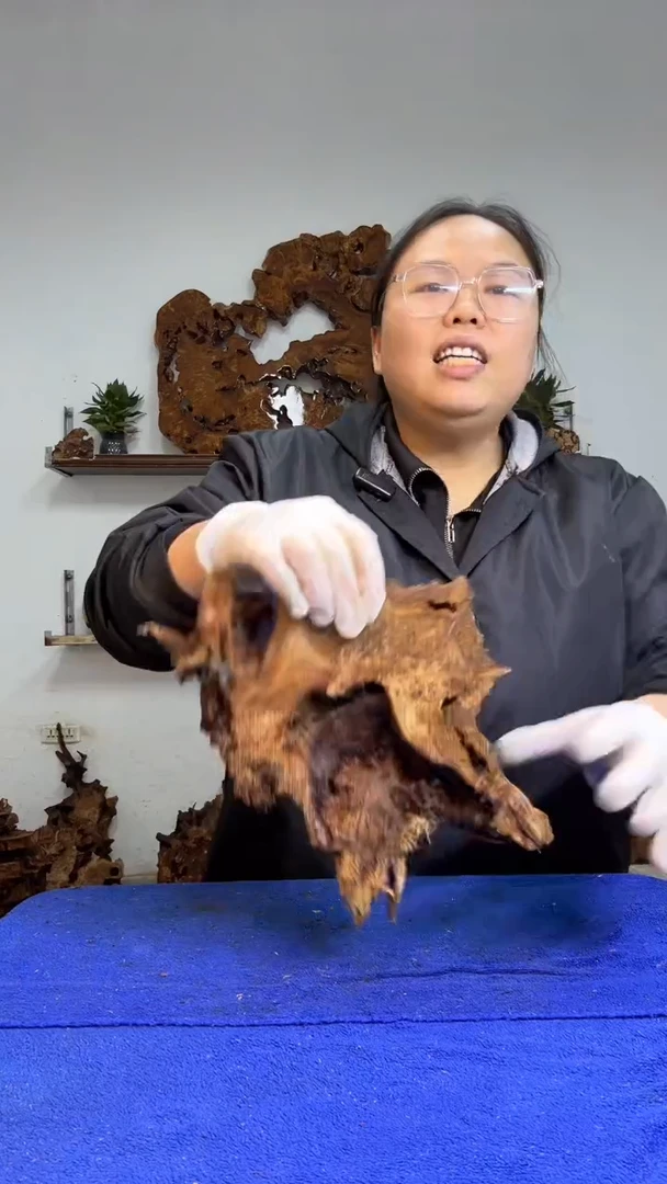 香杉树根瘤板材原料