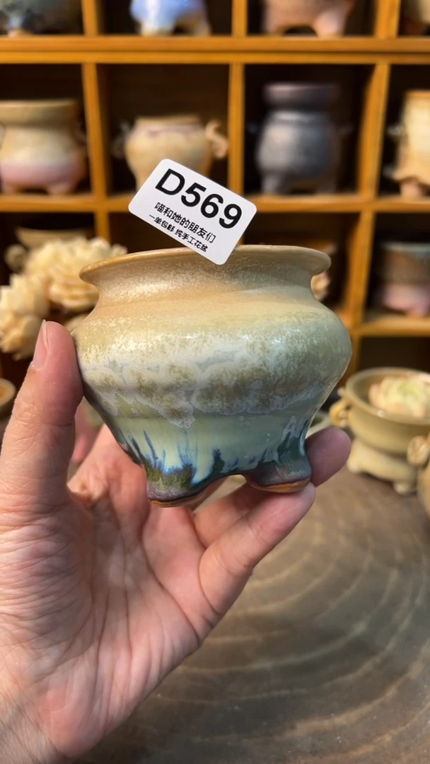 569 内口6.5【喵喵推荐手工盆】