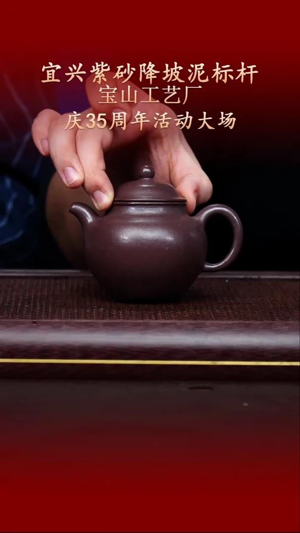 陶藏紫砂甄选-紫砂壶139