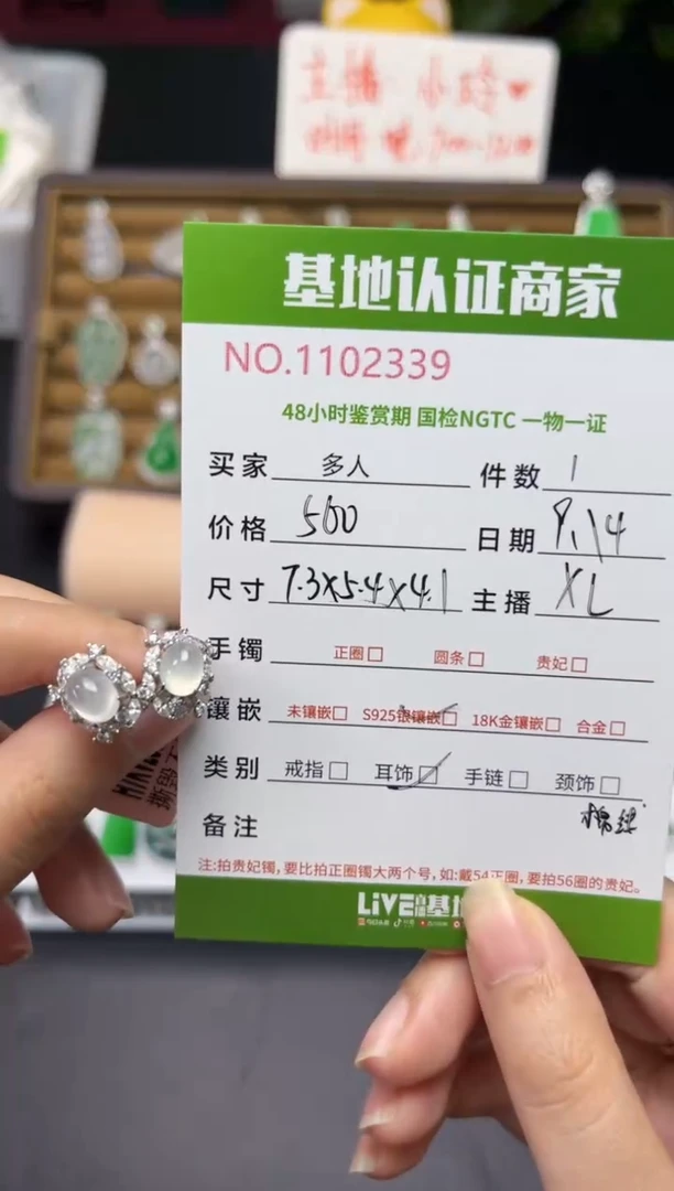 银S925镶嵌翡翠耳饰多人
