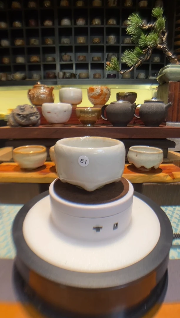 【台湾净窑】柴烧志野61-特价