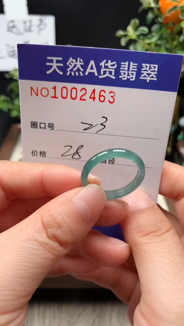 未镶嵌戒指翡翠23#