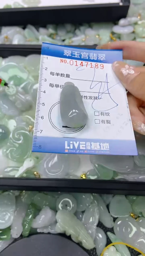 翡翠未镶嵌颈饰闪购0147189