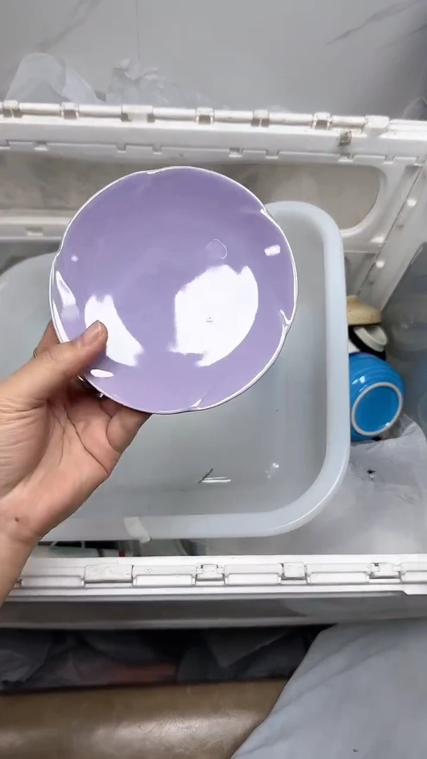 【闪购商品】478回流瓷器默认微瑕，18.8包邮