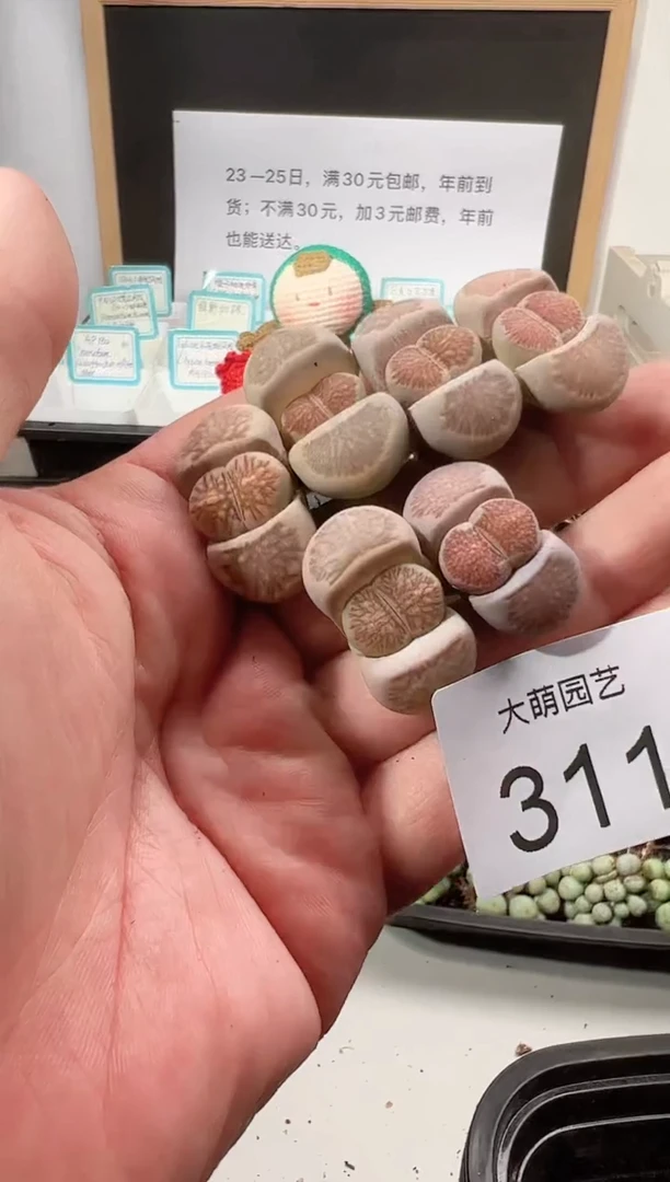 【闪购商品】++++311