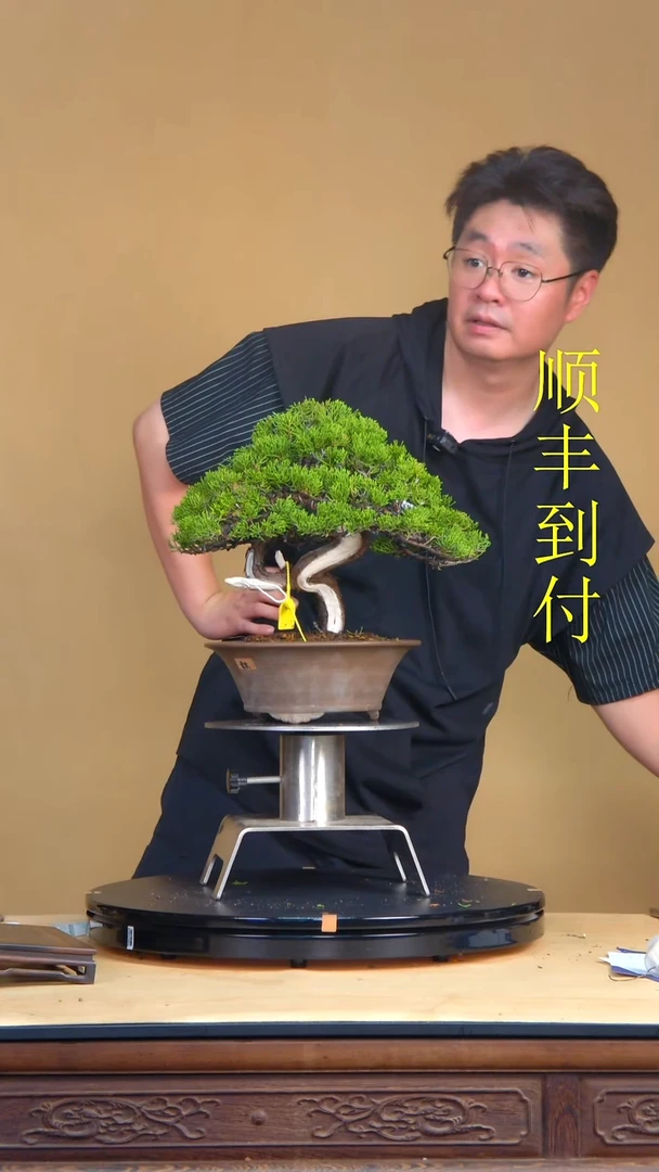 无花朵爱****?17886真柏真柏