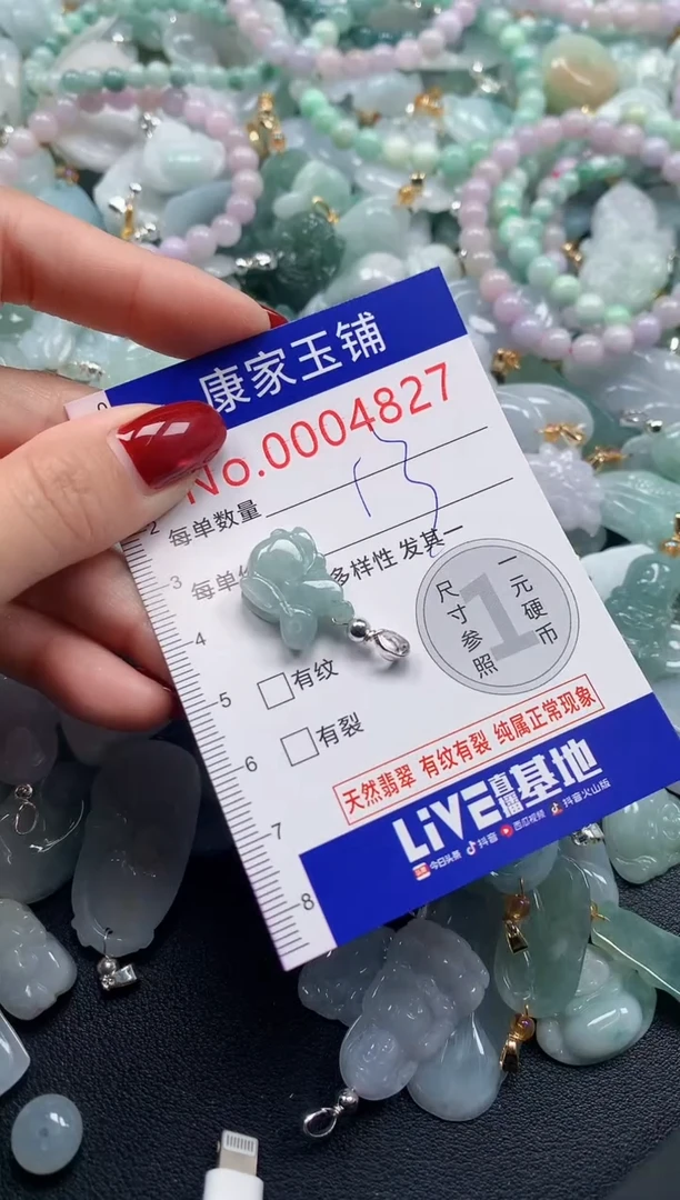 颈饰未镶嵌翡翠4827