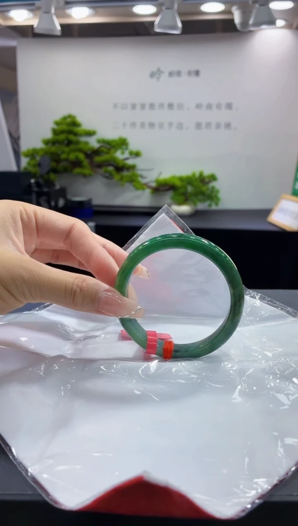 未镶嵌手镯翡翠10