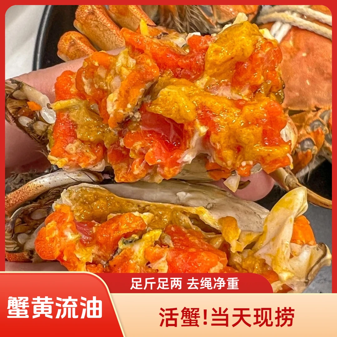 【2.5两全母蟹】鲜活江苏大闸蟹6-10只兴化红膏蟹精品螃蟹产地包邮