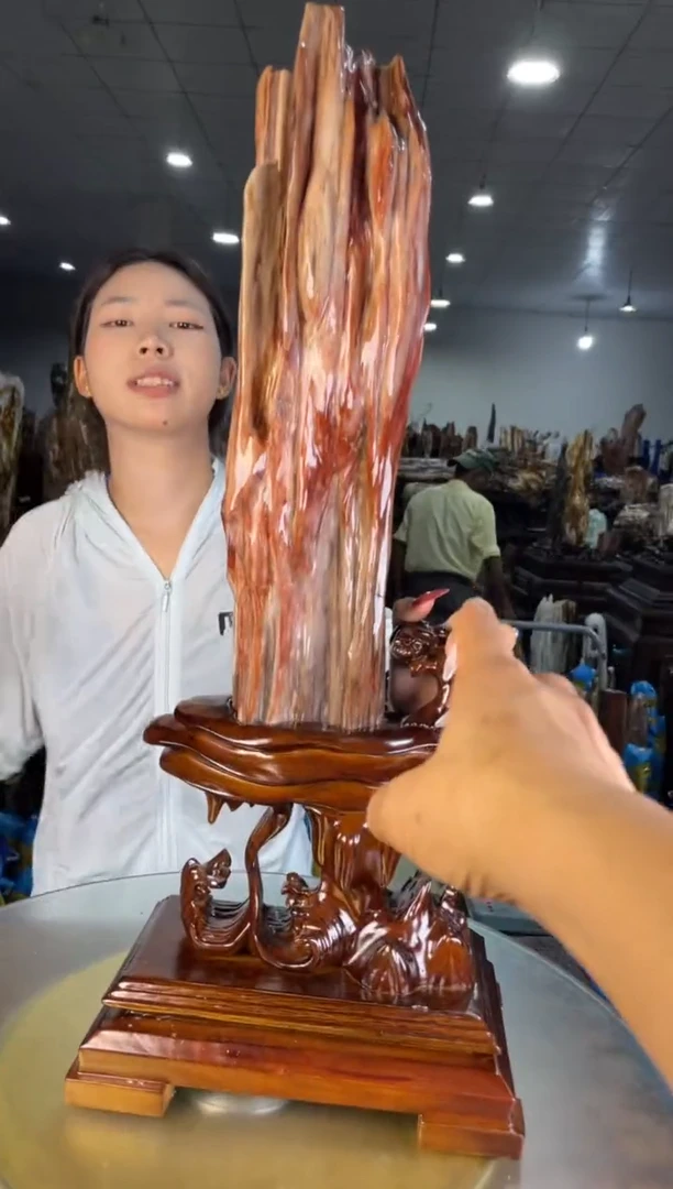 未镶嵌摆件硅化玉37