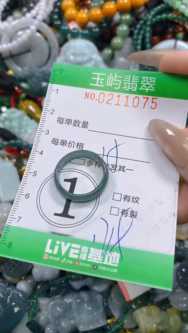 颈饰未镶嵌翡翠闪购0211075