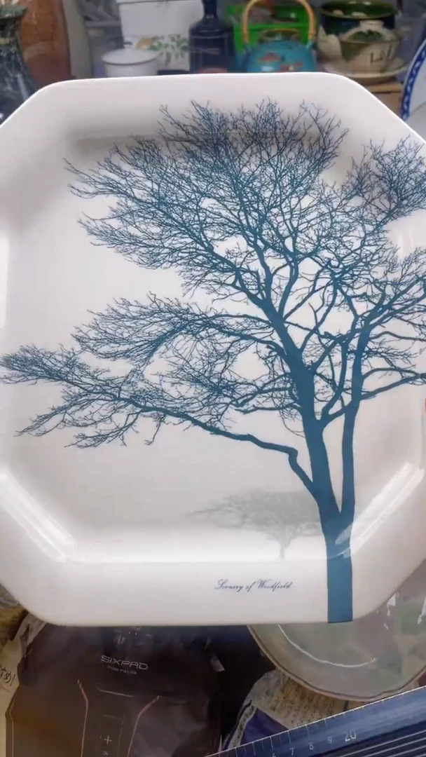 【闪购商品】瓷片1则武贝克大盘子盘