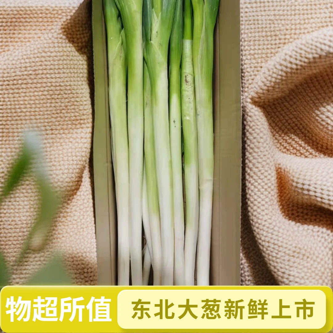 （去叶大葱 小园葱）东北农家小园香蒿腿大葱新鲜现挖