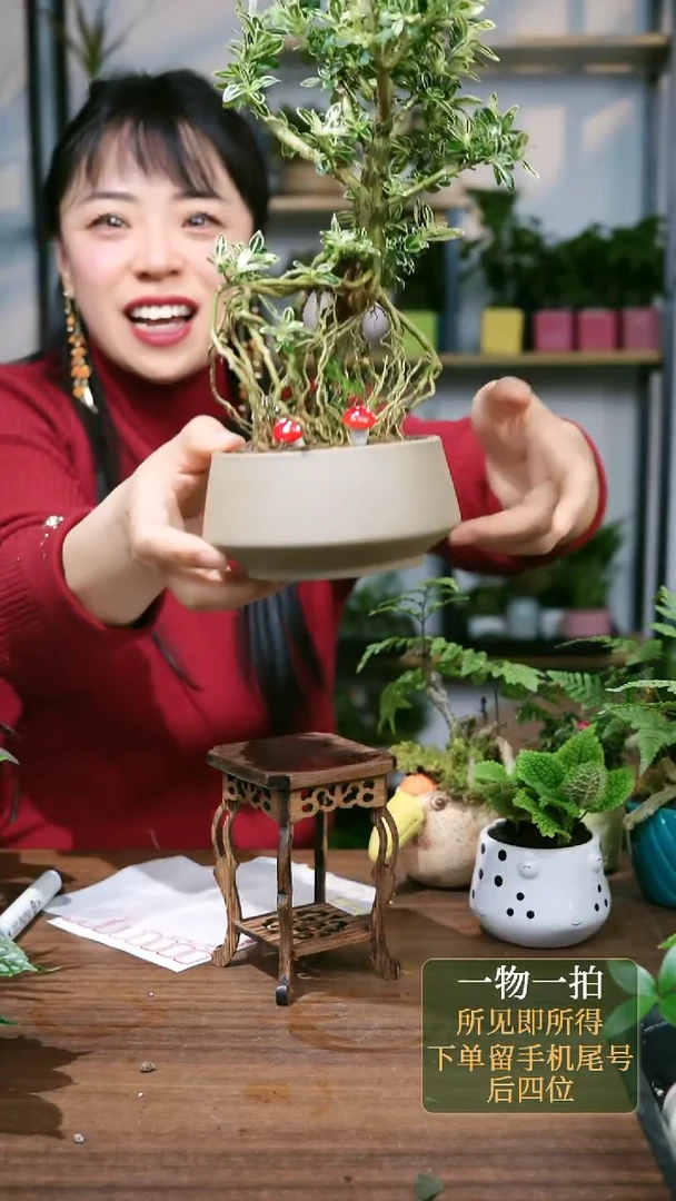 【闪购商品】22--1736提跟六月雪