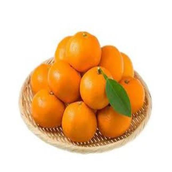 【名仕】广西沙糖桔 约1500g