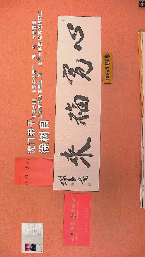 【闪购商品】书法90        徐树良书法作品