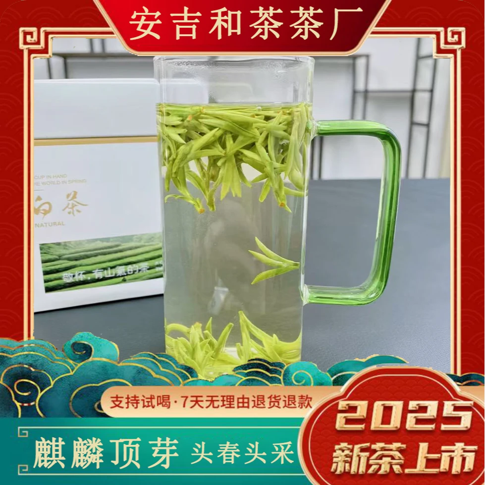 【A18 麒麟顶芽】2025新茶头春头采 安吉 高山白茶 高山 茶礼