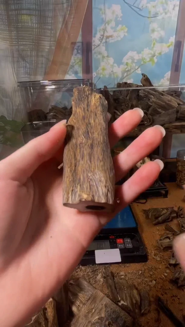 沉香沉香碎屑乌身77